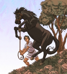 mgss11se_a00332_final_color