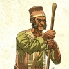 dumisi